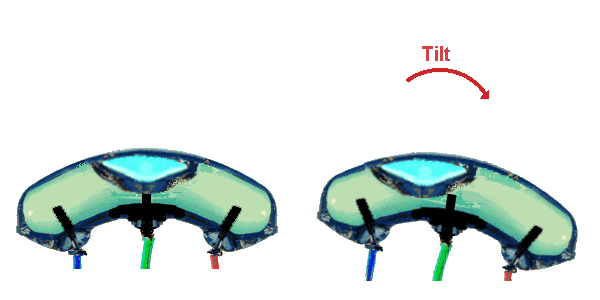 An ELECTROLEVEL Transducer