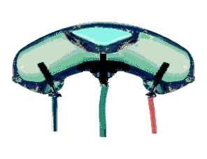 An ELECTROLEVEL Transducer